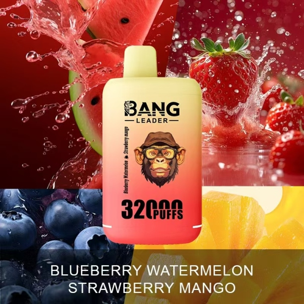 Bang Leader 32K Puffs 2-in-1 Prefilled Vape Device - Dual Flavour, Rechargeable, 650mAh, Dual Pods