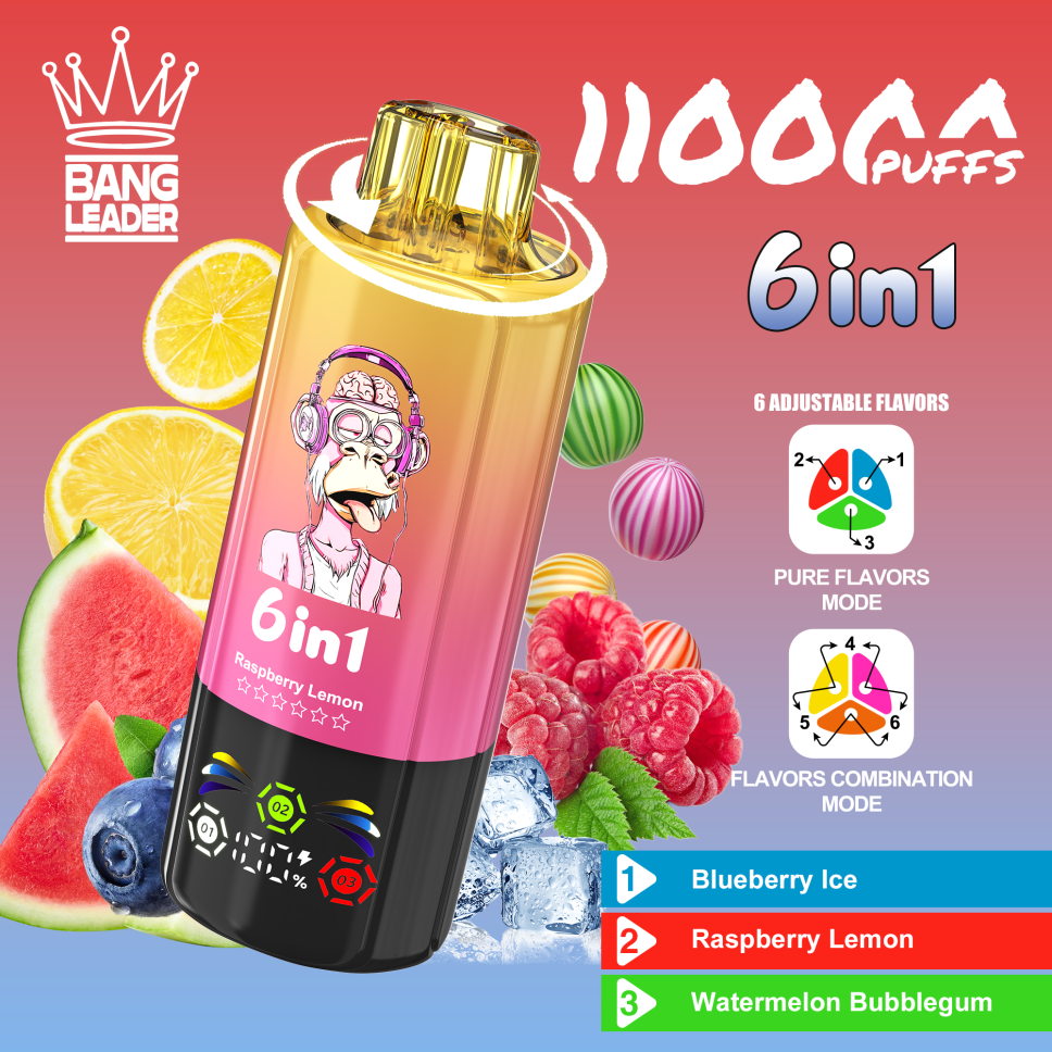Bang Leader 110K Puffs 6-in-1 Prefilled Vape Device - 6 Flavours, Rechargeable, 850mAh