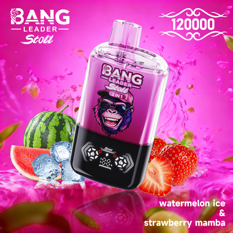 Bang Leader Stoll 120K Puffs 2-in-1 Prefilled Vape Device - Dual Flavour, Rechargeable, 650mAh