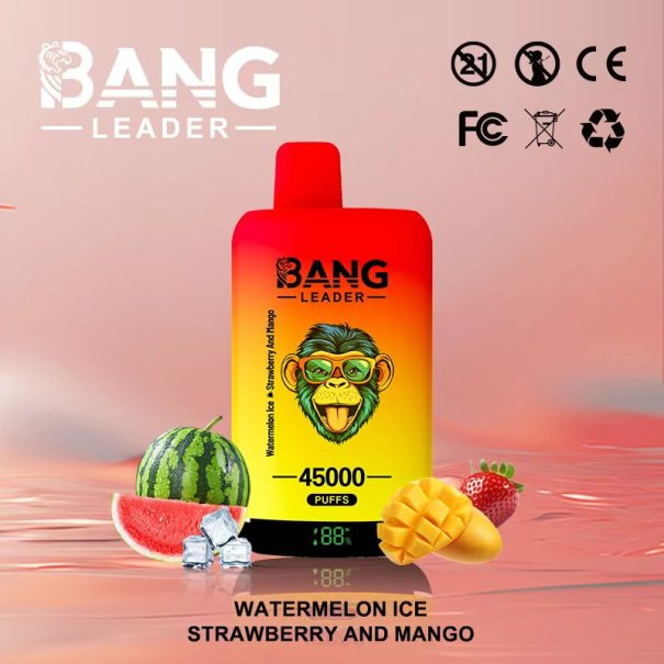 Bang Leader 45K Puffs 2-in-1 Prefilled Vape Device - Dual Flavour, Rechargeable, 650mAh