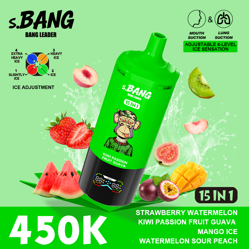 Bang Leader 450K Puffs 15-in-1 Prefilled Vape - 15 Flavours, Rechargeable