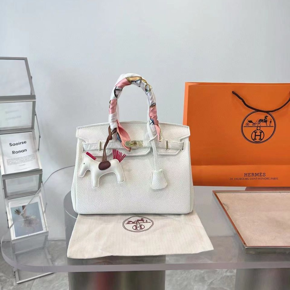 Hermes Birkin 25 Gold Hardware Epsom White 25Cm