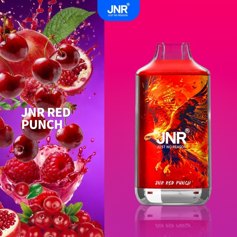 🔥 JNR Falcon 16K Jednorazowy Vape | 2% Nikotyny 💨 16,000 Puffów 🍓🥭🥝 | Szybka wysyłka z Polski 1-3 dni 🚚🇵🇱 | Amerykańska jakość 🇺🇸 | Nowi Klienci Hurtowi 💰🎉
