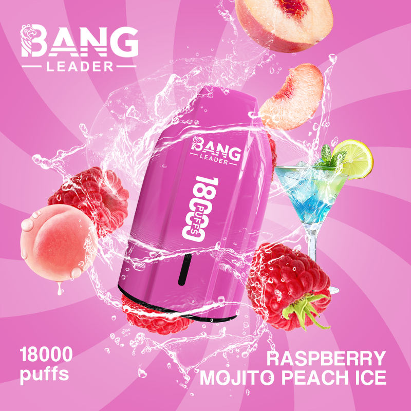 Bang Leader 18K Puffs Prefilled Vape Device - Rechargeable, 650mAh, Mesh Coil