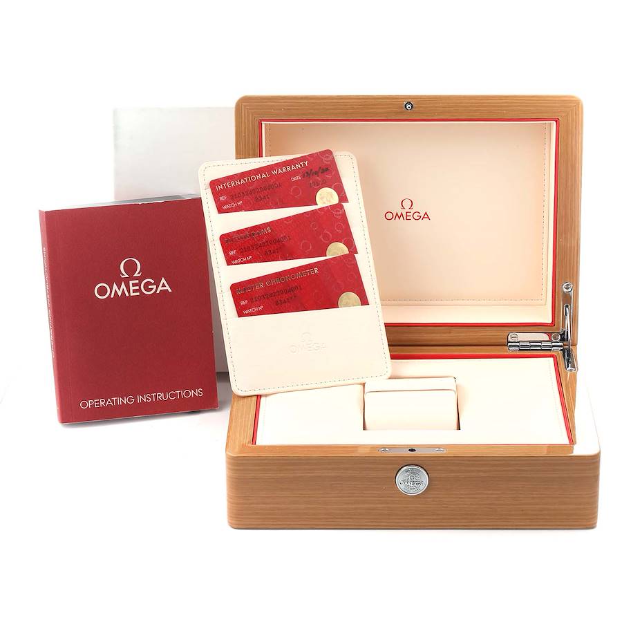Omega Seamaster Co-Axial 42mm Steel Mens Watch 210.32.42.20.04.001