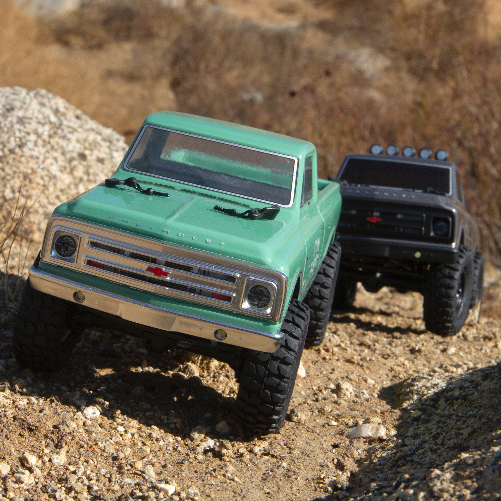 ARRMA 1/24 SCX24 1967 Chevrolet C10 4WD Truck Brushed RTR