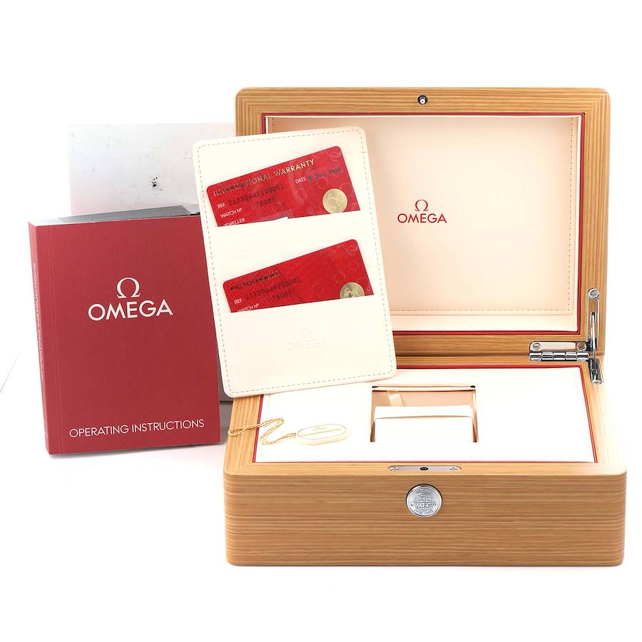 Omega Seamaster 300 GMT Steel Mens Watch 212.30.44.52.03.001