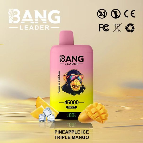 Bang Leader 45K Puffs 2-in-1 Prefilled Vape Device - Dual Flavour, Rechargeable, 650mAh