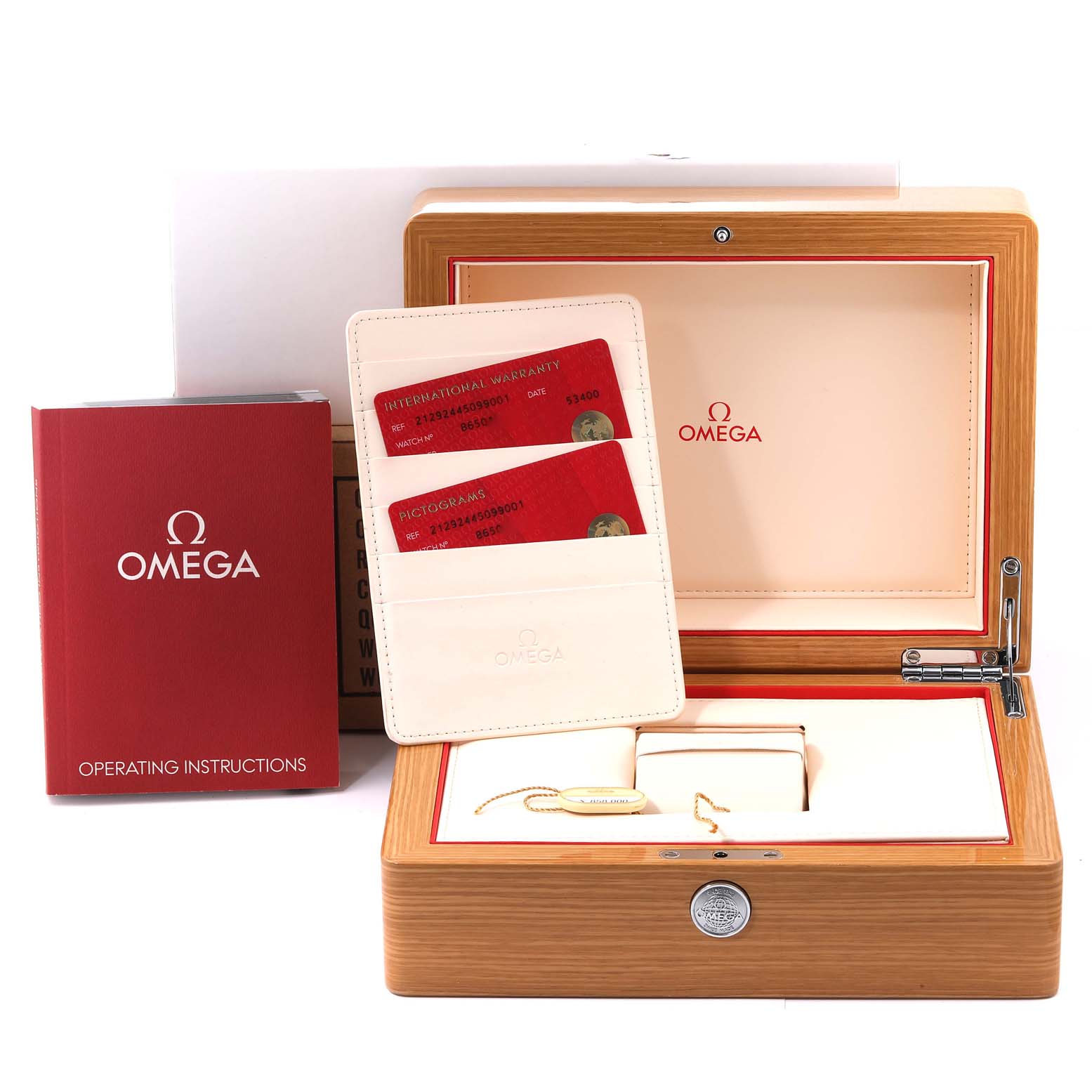 Omega Seamaster 300 ETNZ Titanium Mens Watch 44.0 MM 212.92.44.50.99.001