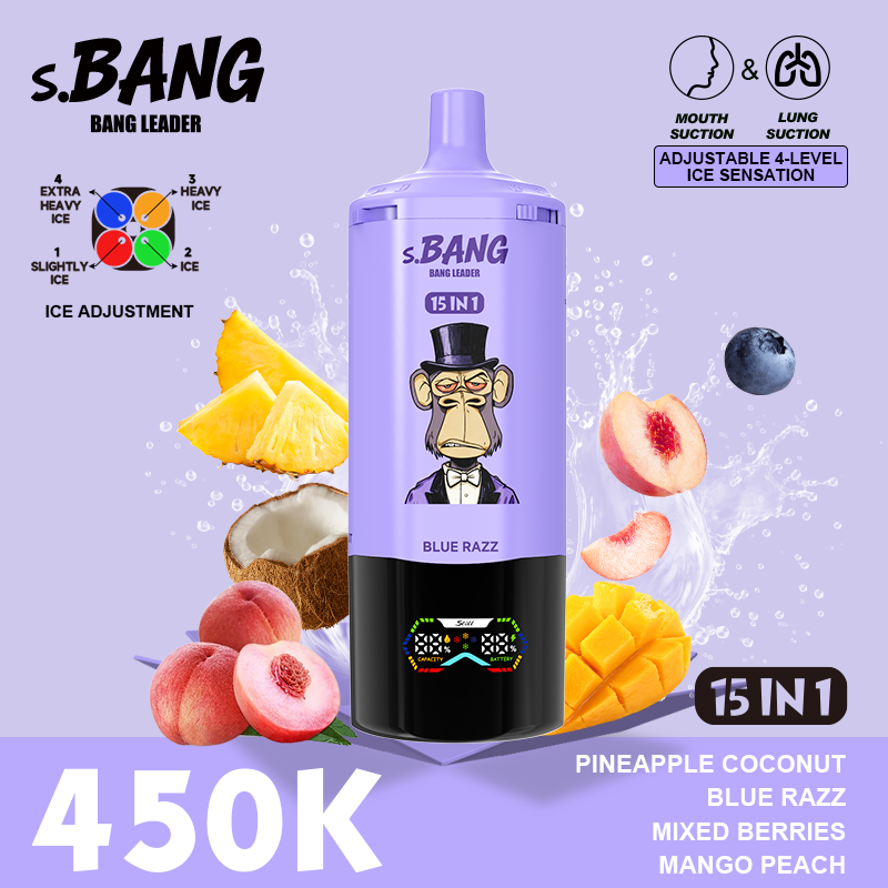 Bang Leader 450K Puffs 15-in-1 Prefilled Vape - 15 Flavours, Rechargeable
