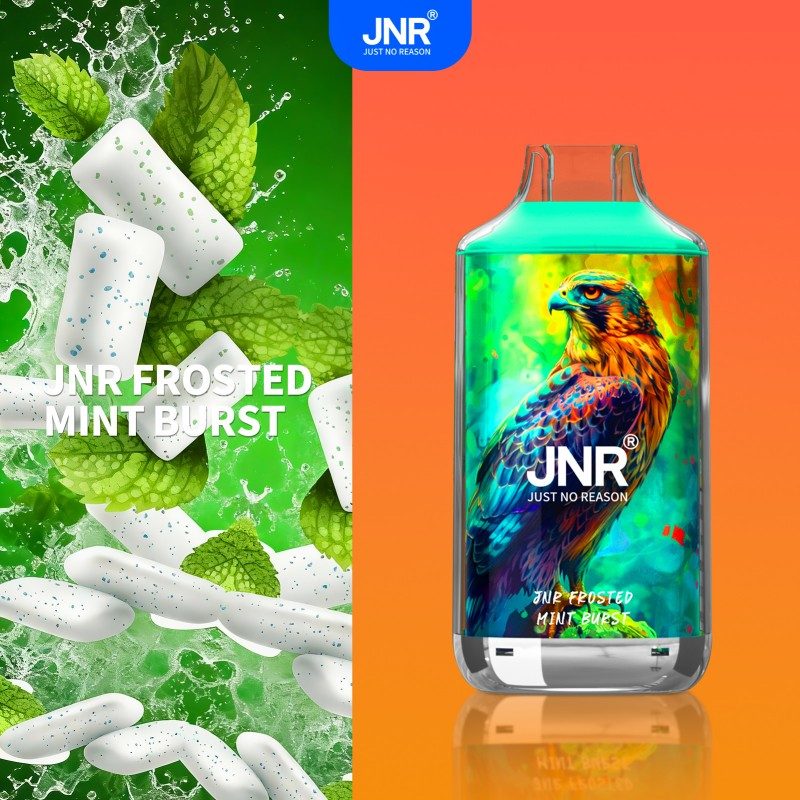 🔥 JNR Falcon 16K Jednorazowy Vape | 2% Nikotyny 💨 16,000 Puffów 🍓🥭🥝 | Szybka wysyłka z Polski 1-3 dni 🚚🇵🇱 | Amerykańska jakość 🇺🇸 | Nowi Klienci Hurtowi 💰🎉