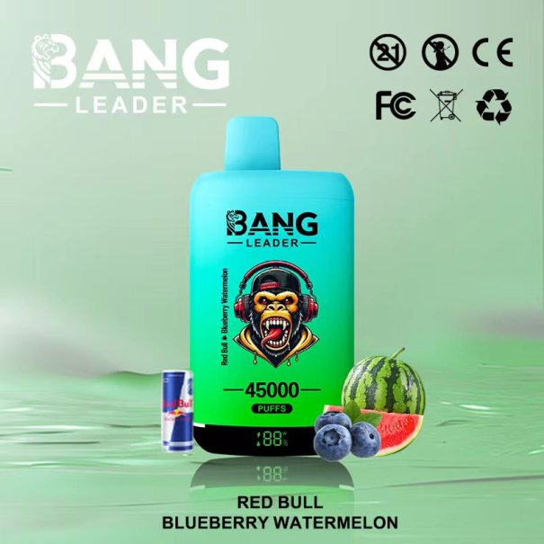 Bang Leader 45K Puffs 2-in-1 Prefilled Vape Device - Dual Flavour, Rechargeable, 650mAh