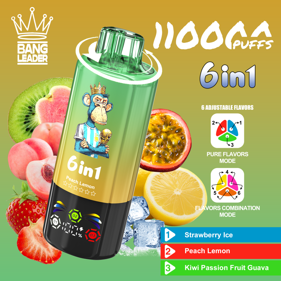 Bang Leader 110K Puffs 6-in-1 Prefilled Vape Device - 6 Flavours, Rechargeable, 850mAh