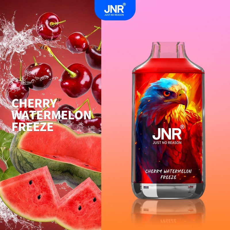 🔥 JNR Falcon 16K Jednorazowy Vape | 2% Nikotyny 💨 16,000 Puffów 🍓🥭🥝 | Szybka wysyłka z Polski 1-3 dni 🚚🇵🇱 | Amerykańska jakość 🇺🇸 | Nowi Klienci Hurtowi 💰🎉
