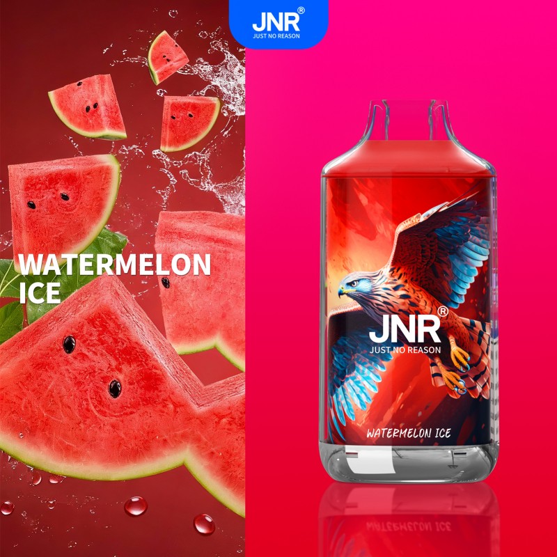 🔥 JNR Falcon 16K Jednorazowy Vape | 2% Nikotyny 💨 16,000 Puffów 🍓🥭🥝 | Szybka wysyłka z Polski 1-3 dni 🚚🇵🇱 | Amerykańska jakość 🇺🇸 | Nowi Klienci Hurtowi 💰🎉