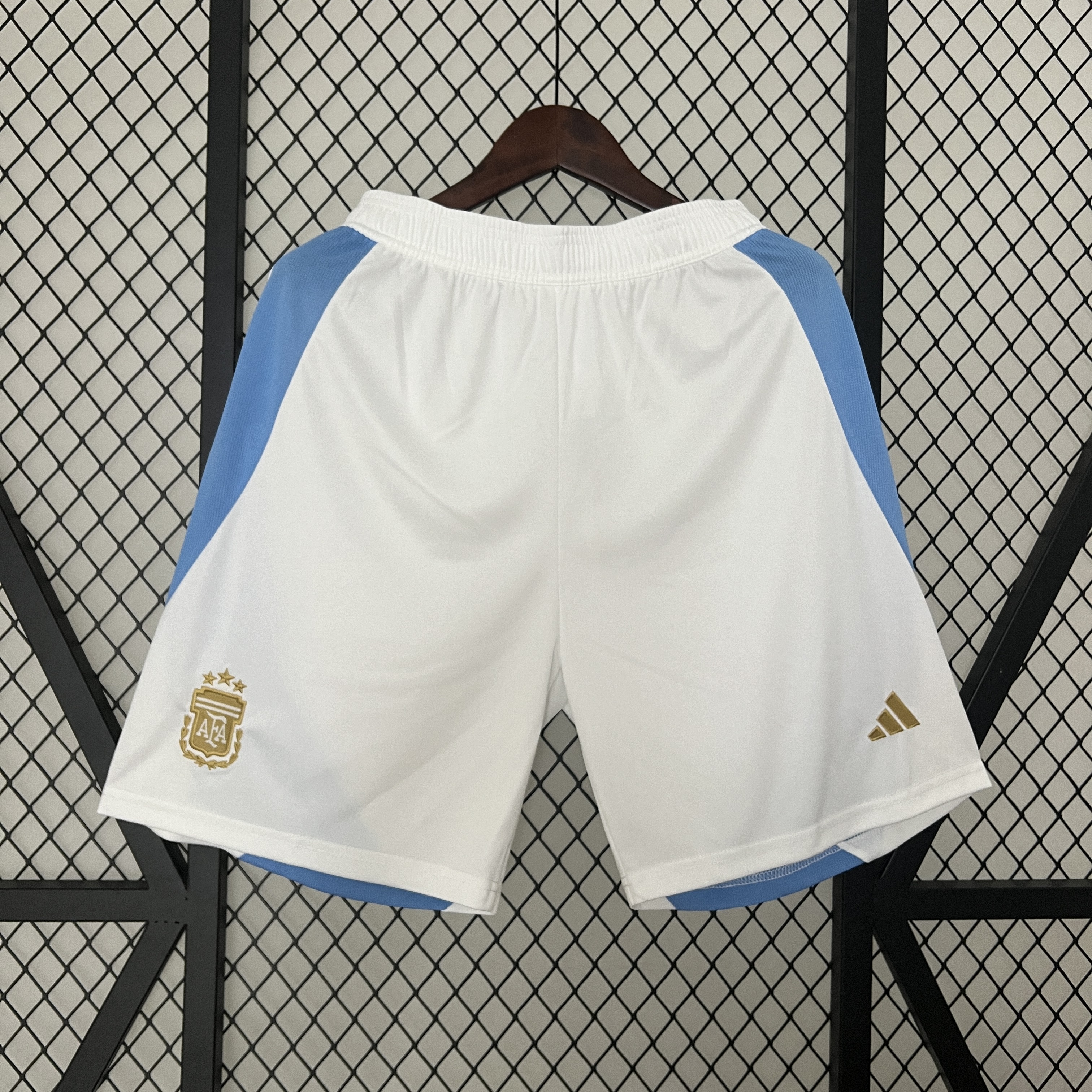 Argentina 2024 Home Shorts - Fans Version