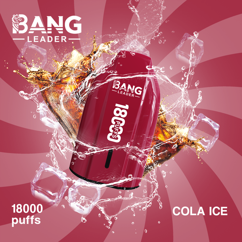 Bang Leader 18K Puffs Prefilled Vape Device - Rechargeable, 650mAh, Mesh Coil