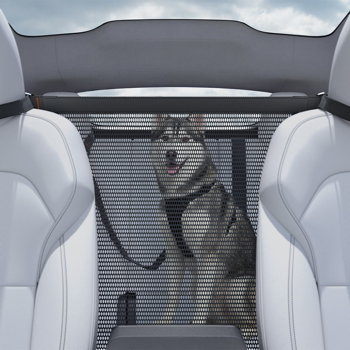 Pet Car Backseat Barrier | PS200