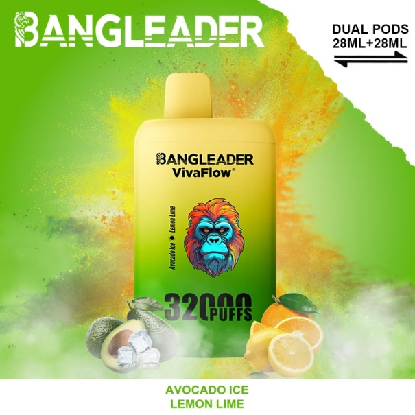 Bang Leader 32K Puffs 2-in-1 Prefilled Vape Device - Dual Flavour, Rechargeable, 650mAh, Dual Pods