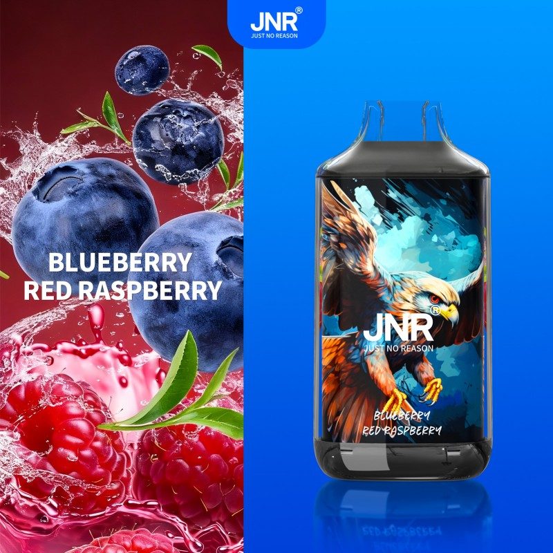🔥 JNR Falcon 16K Jednorazowy Vape | 2% Nikotyny 💨 16,000 Puffów 🍓🥭🥝 | Szybka wysyłka z Polski 1-3 dni 🚚🇵🇱 | Amerykańska jakość 🇺🇸 | Nowi Klienci Hurtowi 💰🎉