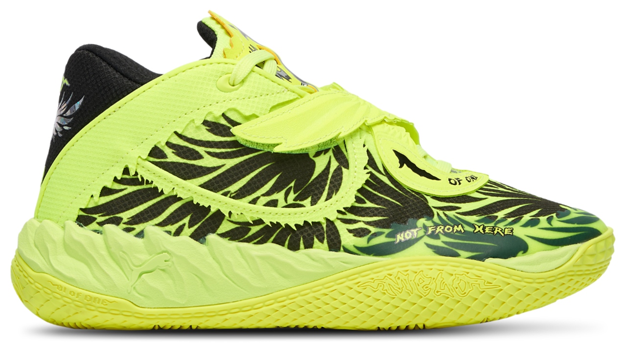 PUMA MB.05 Voltage