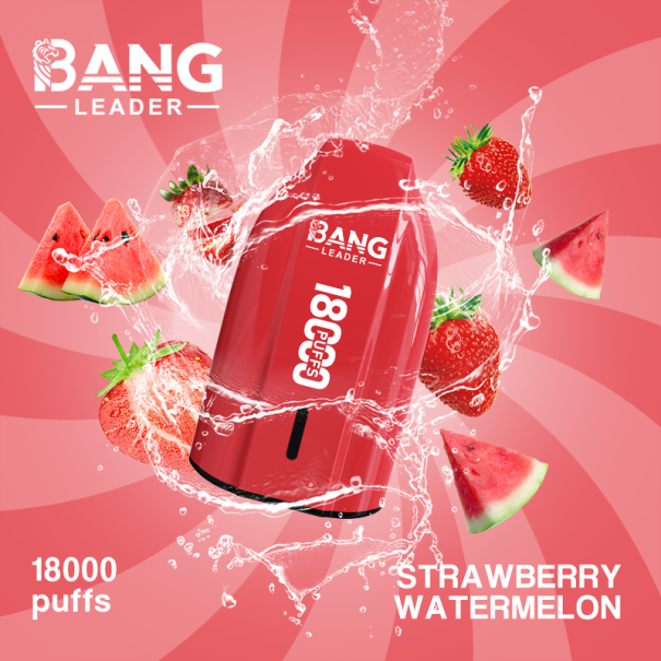 Bang Leader 18K Puffs Prefilled Vape Device - Rechargeable, 650mAh, Mesh Coil