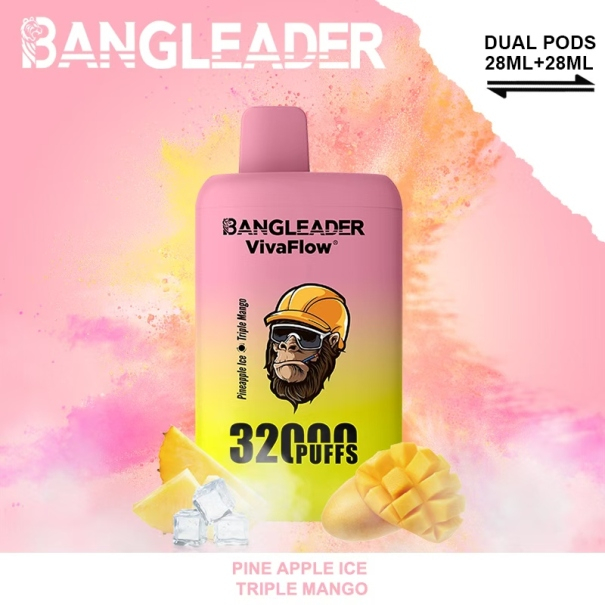 Bang Leader 32K Puffs 2-in-1 Prefilled Vape Device - Dual Flavour, Rechargeable, 650mAh, Dual Pods