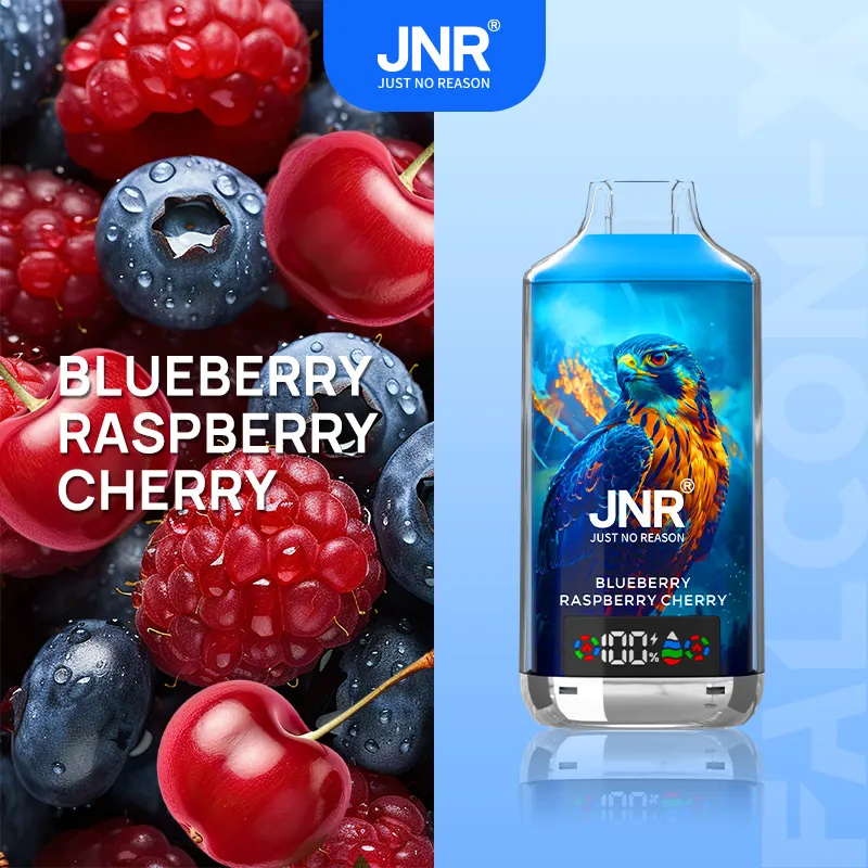 🔥 JNR Falcon-X 18K Jednorazowy Vape | 2% Nikotyny 💨 18,000 Puffów 🍓🥭❄️ | Ulepszona wersja 16K 🚀 | Szybka wysyłka z Polski 1-3 dni 🚚🇵🇱 | Amerykańska jakość 🇺🇸