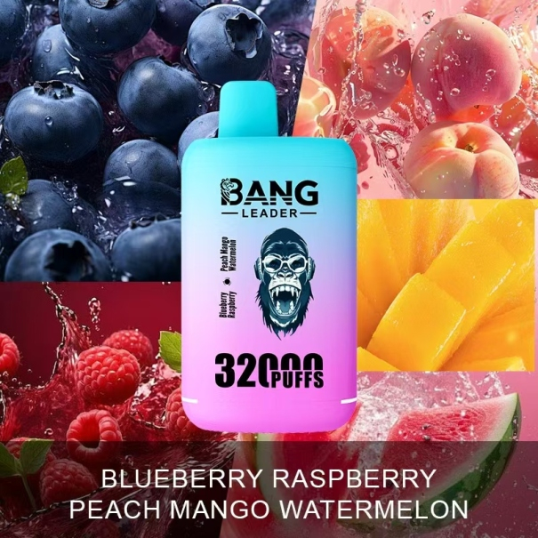 Bang Leader 32K Puffs 2-in-1 Prefilled Vape Device - Dual Flavour, Rechargeable, 650mAh, Dual Pods