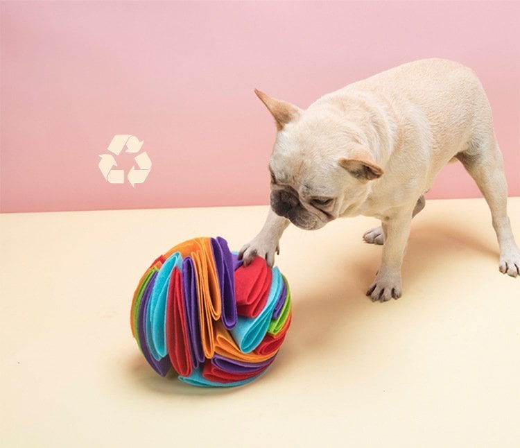 Dog Snuff Ball Dog Training Toy - Improve Pet IQ
