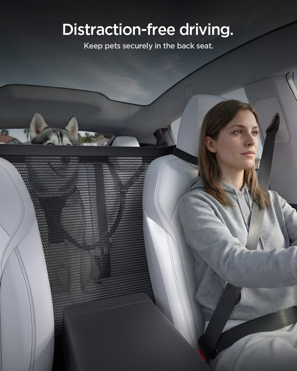 Pet Car Backseat Barrier | PS200