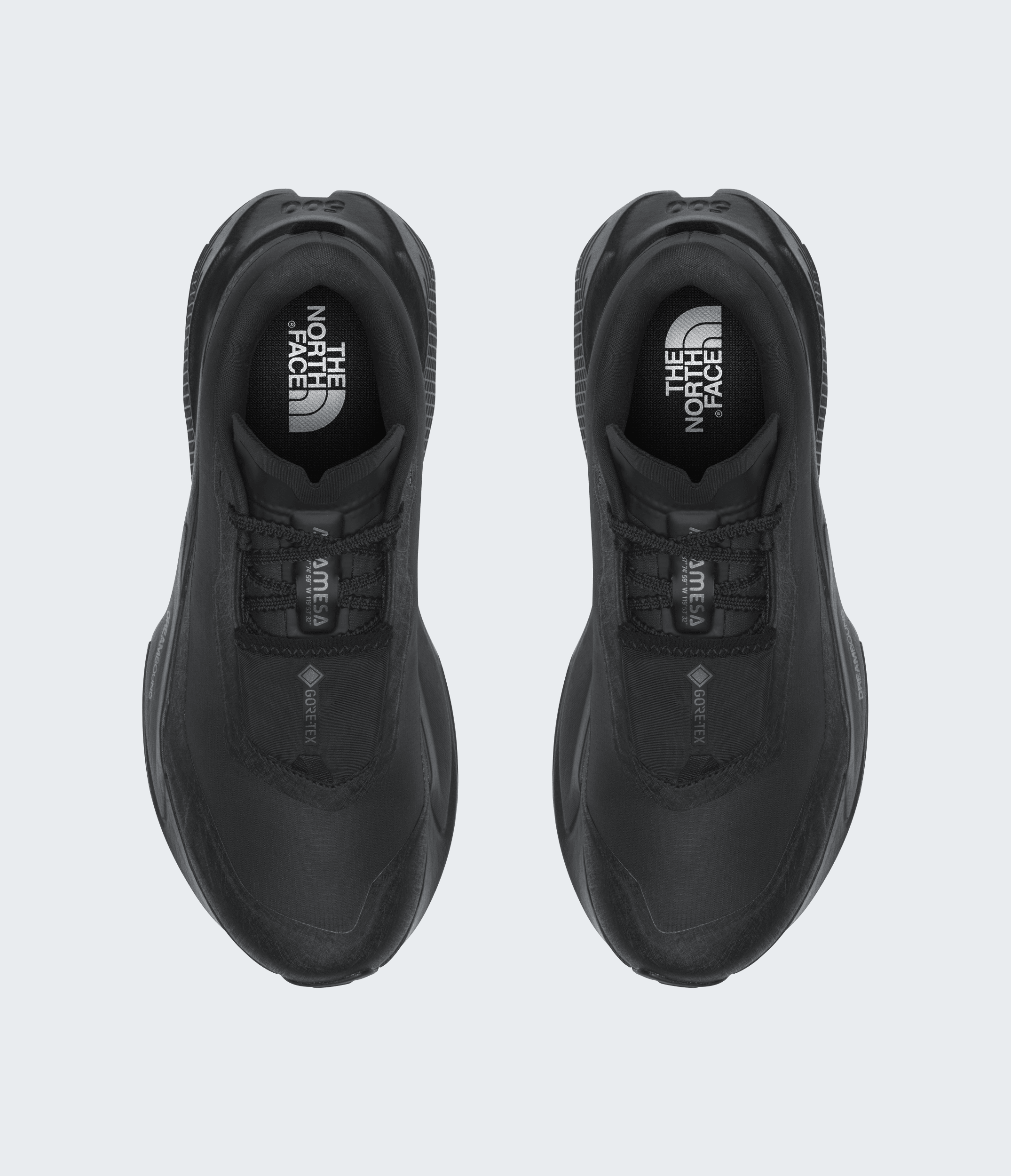 Men’s Altamesa 500 V2 GORE-TEX