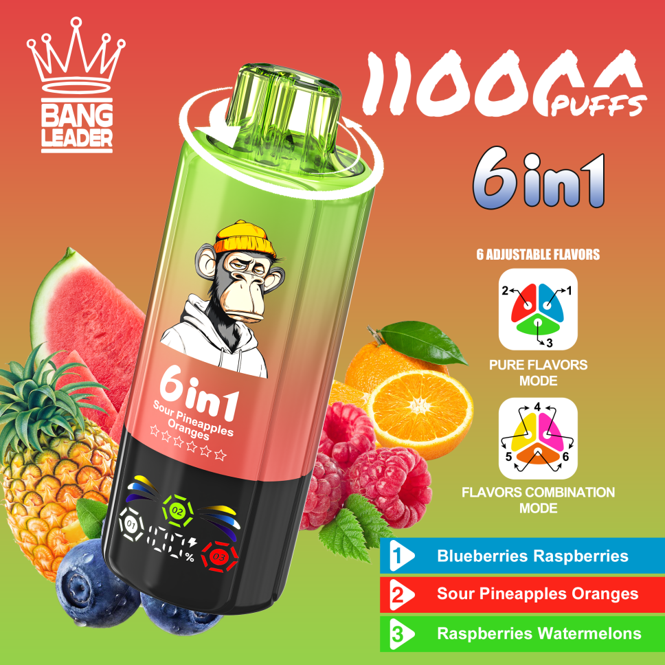 Bang Leader 110K Puffs 6-in-1 Prefilled Vape Device - 6 Flavours, Rechargeable, 850mAh