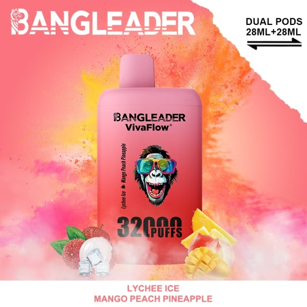Bang Leader 32K Puffs 2-in-1 Prefilled Vape Device - Dual Flavour, Rechargeable, 650mAh, Dual Pods