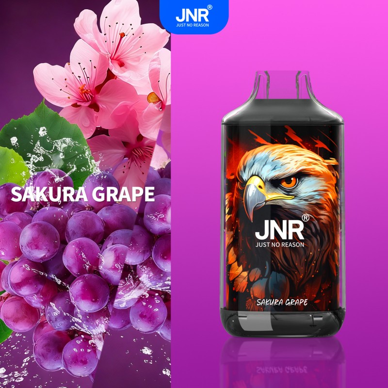 🔥 JNR Falcon 16K Jednorazowy Vape | 2% Nikotyny 💨 16,000 Puffów 🍓🥭🥝 | Szybka wysyłka z Polski 1-3 dni 🚚🇵🇱 | Amerykańska jakość 🇺🇸 | Nowi Klienci Hurtowi 💰🎉