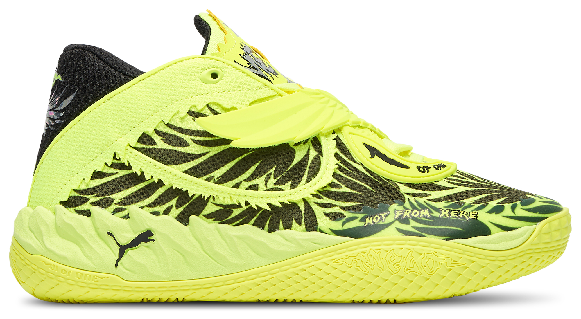 PUMA MB.05 Voltage