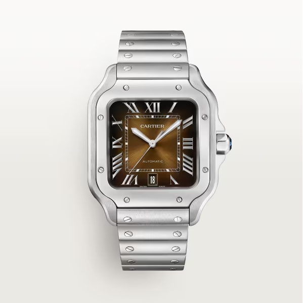 Cartier Santos brown WSSA0062 39.8mm