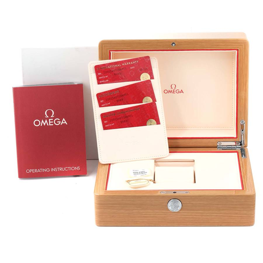 Omega Seamaster Aqua Terra Steel Mens Watch 220.12.41.21.06.001