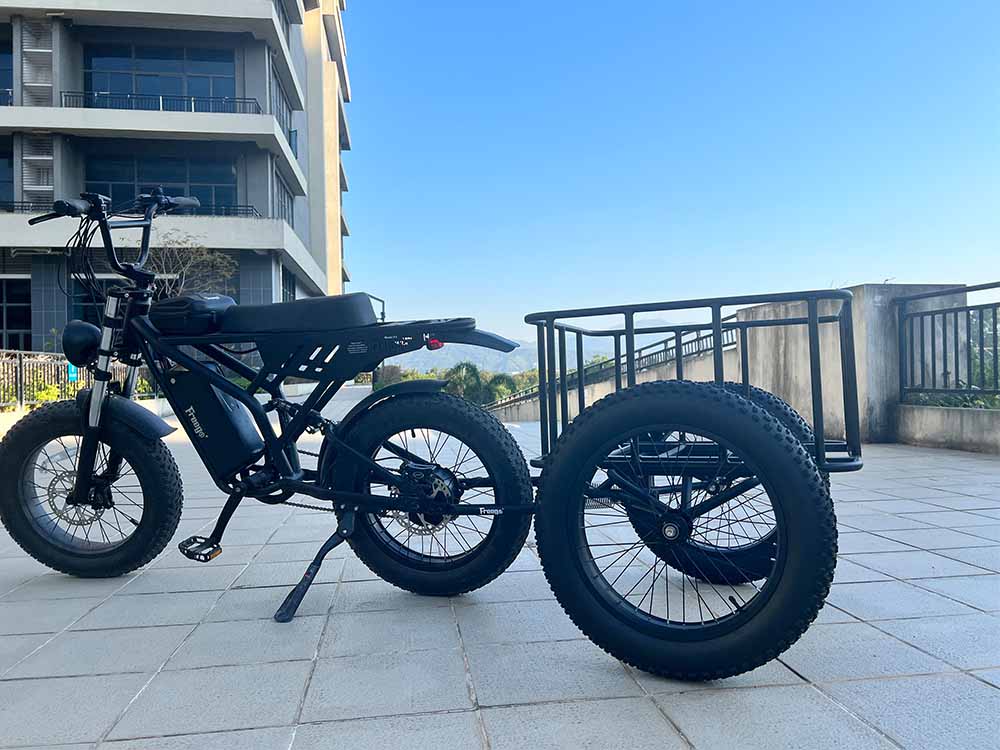 Freego Electric Bicycle Cargo Rear Trailer
