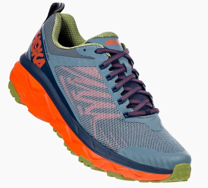 Men's Challenger ATR 5 Shoes