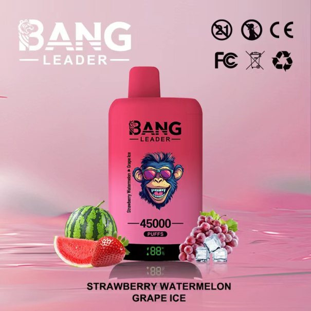 Bang Leader 45K Puffs 2-in-1 Prefilled Vape Device - Dual Flavour, Rechargeable, 650mAh