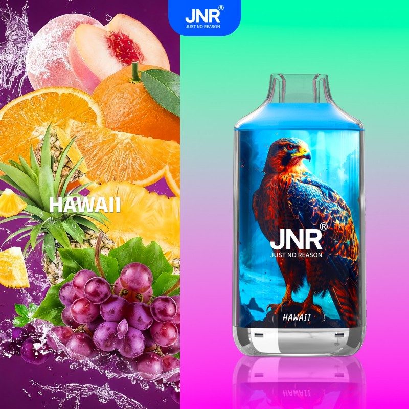 🔥 JNR Falcon 16K Jednorazowy Vape | 2% Nikotyny 💨 16,000 Puffów 🍓🥭🥝 | Szybka wysyłka z Polski 1-3 dni 🚚🇵🇱 | Amerykańska jakość 🇺🇸 | Nowi Klienci Hurtowi 💰🎉