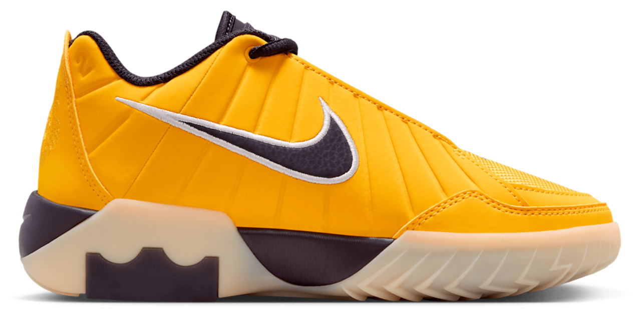 Nike Lebron Witness IX