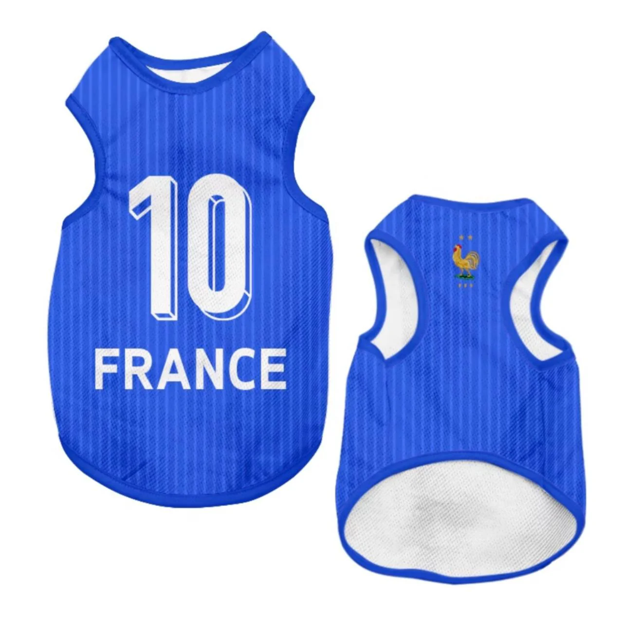 France 10 - Home