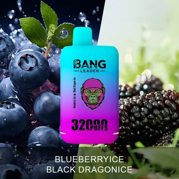 Bang Leader 32K Puffs 2-in-1 Prefilled Vape Device - Dual Flavour, Rechargeable, 650mAh, Dual Pods