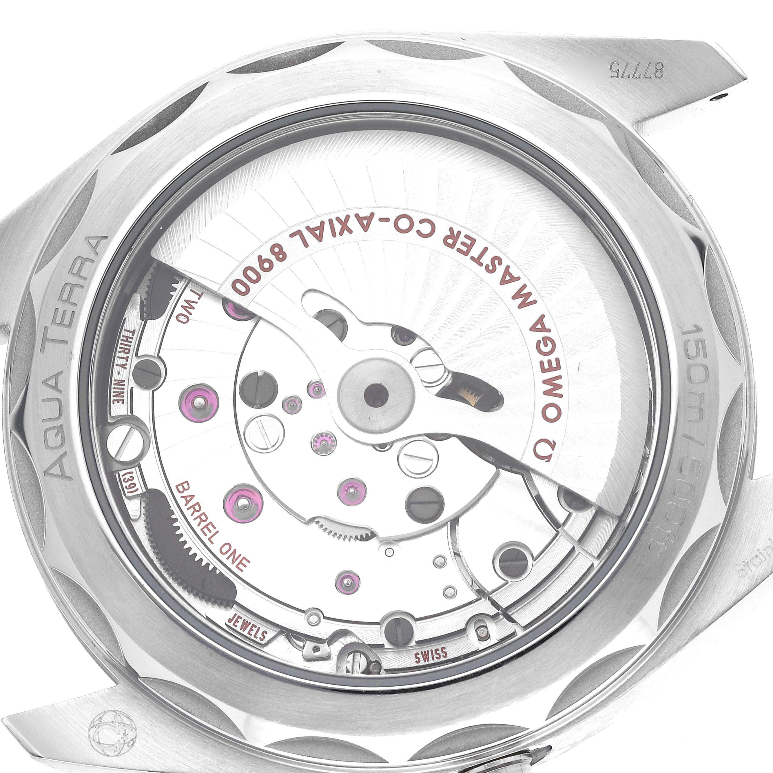 Omega Seamaster Aqua Terra Steel Mens Watch 41.0 MM 220.13.41.21.03.001