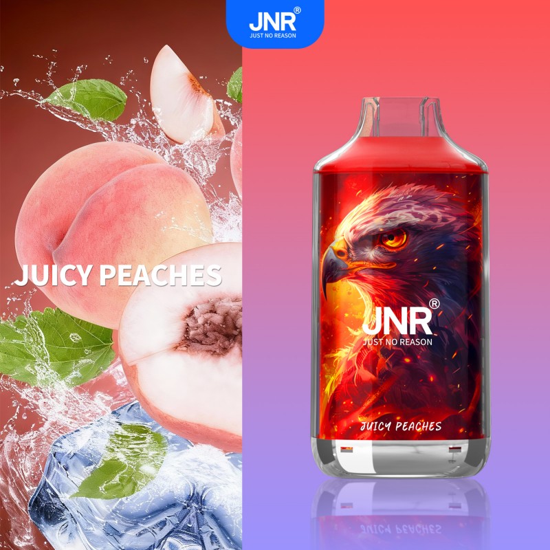 🔥 JNR Falcon 16K Jednorazowy Vape | 2% Nikotyny 💨 16,000 Puffów 🍓🥭🥝 | Szybka wysyłka z Polski 1-3 dni 🚚🇵🇱 | Amerykańska jakość 🇺🇸 | Nowi Klienci Hurtowi 💰🎉