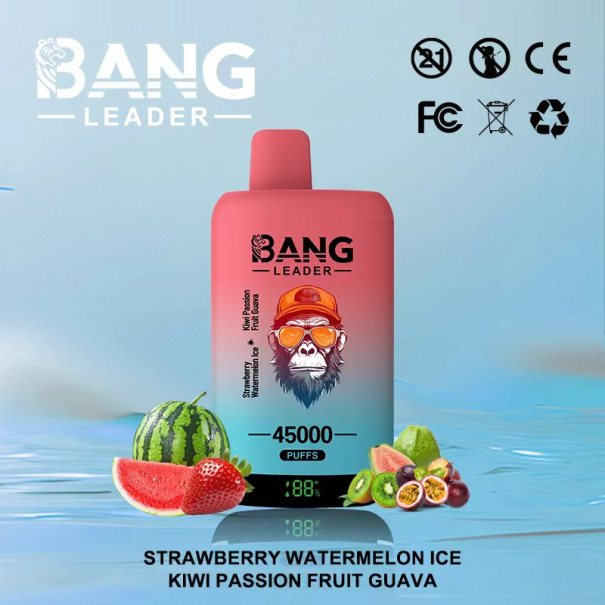 Bang Leader 45K Puffs 2-in-1 Prefilled Vape Device - Dual Flavour, Rechargeable, 650mAh