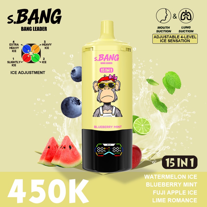 Bang Leader 450K Puffs 15-in-1 Prefilled Vape - 15 Flavours, Rechargeable