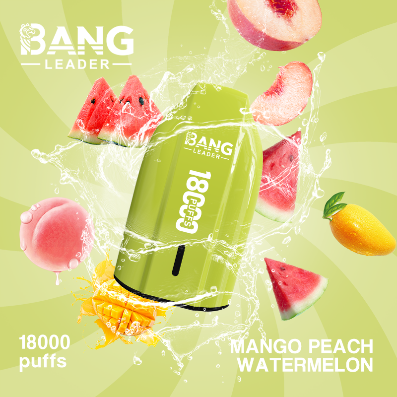 Bang Leader 18K Puffs Prefilled Vape Device - Rechargeable, 650mAh, Mesh Coil